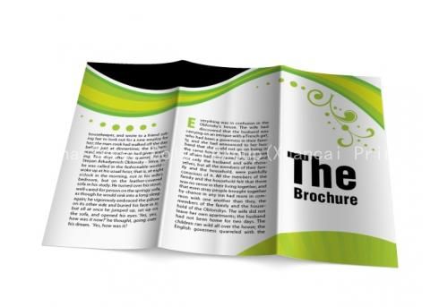 2019 New Colorful Brochure