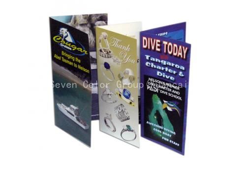 2019 New Colorful Brochure