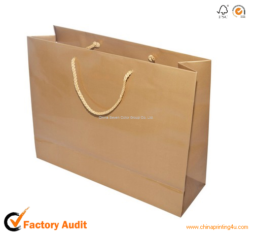 Paper Carrier Shopping Bag