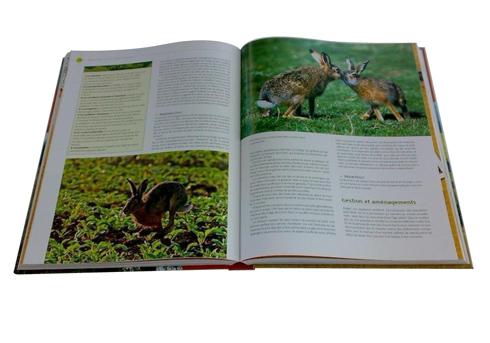 Professional Printing Magazines In China