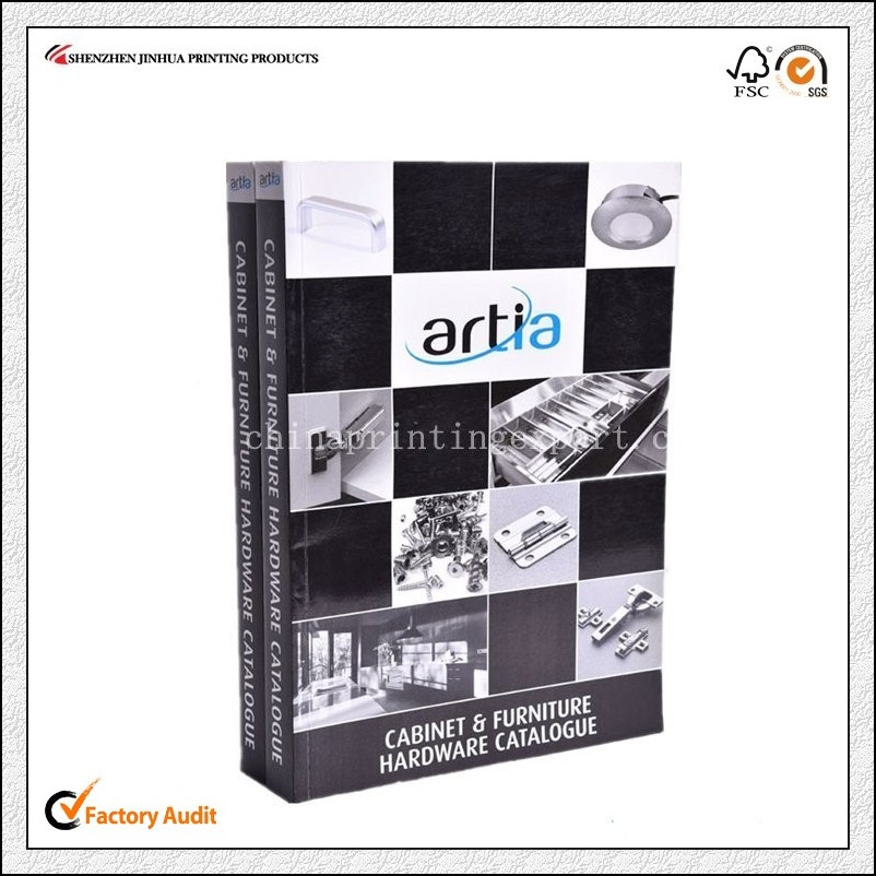 Large Quantity Cheap Price High Quality Brochue/Booklet/Catalogue Printing